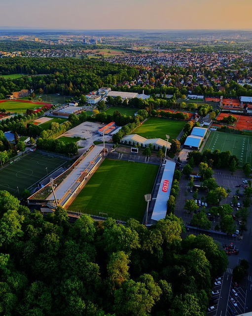 联盟荣誉的 联盟荣誉的