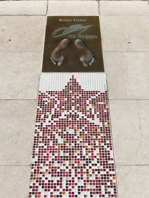 的完美人選 的完美人選