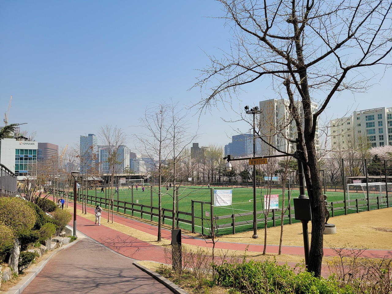 应对挑战的 应对挑战的